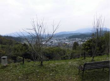 日南市14　岩崎稲荷神社　から見た風景.jpg