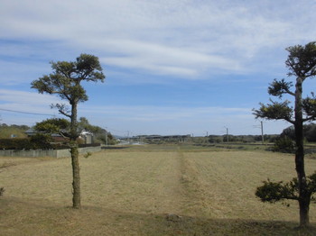 都農町7　八幡神社　神社からの風景.JPG